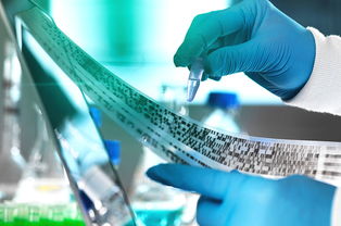 2019年，教育咨詢服務公司經營范圍的“黃金寫法”，讓你賺翻的秘訣